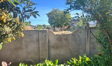 Fundación Las Rosas: llamado urgente a la comunidad ante reiterados robos que ponen en riesgo a las personas mayores del Hogar Sagrado Corazón de Linares