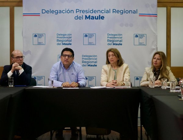 Delegado regional: resultados de elecciones presidenciales y parlamentarias en el Maule podrían estar muy temprano