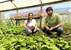 CNR destaca concurso exclusivo para mujeres e invita a agricultoras del Maule a postular a proyectos de riego con alto impacto productivo