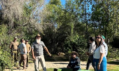 Ministra de Agricultura participa de exitosa liberación de garzas en Achibueno