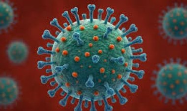 MINSAL confirmó la detección de subclado K de influenza A(H3N2) en Chile