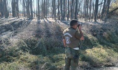 LABOCAR investiga origen de incendio que arrasó con 34 hectáreas de plantaciones de trigo y pastizales al interior de la localidad de San Juan en Linares
