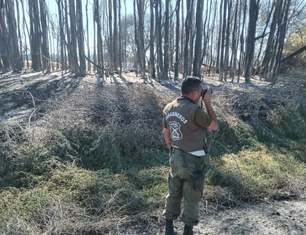 LABOCAR investiga origen de incendio que arrasó con 34 hectáreas de plantaciones de trigo y pastizales al interior de la localidad de San Juan en Linares