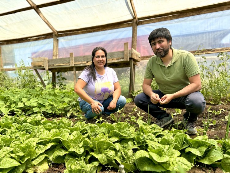 CNR destaca concurso exclusivo para mujeres e invita a agricultoras del Maule a postular a proyectos de riego con alto impacto productivo