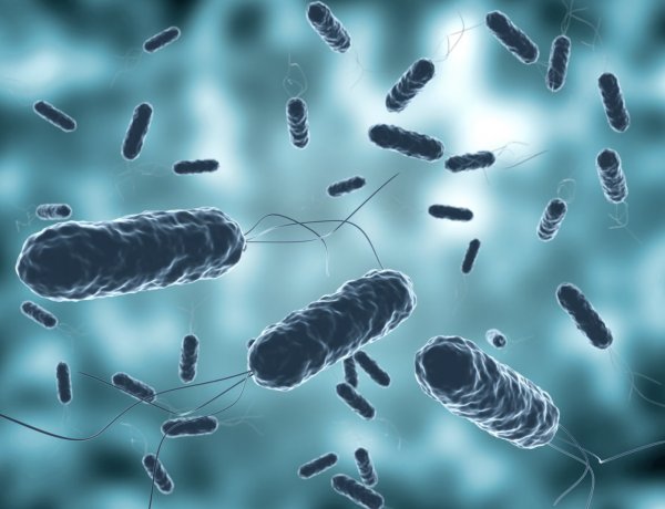 Académicas indagarán efecto renal por helicobacter pylori