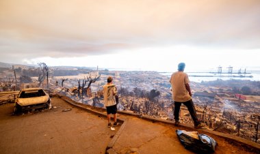 Estrés postraumático: cómo prevenirlo y acompañar a afectados en emergencias