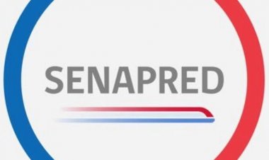 Puerta giratoria con uniforme: cuando el Estado se transforma en botín