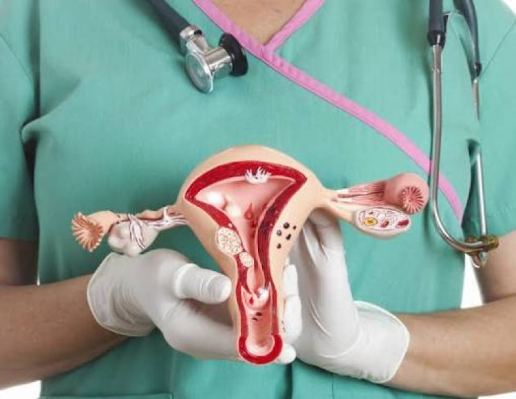 Cáncer cérvico uterino en Chile: Realidad y prevención