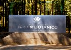 Identifican presencia del virus de Influenza Aviar H5N1 en algunas especies de aves del Jardín Botánico de la UTalca
