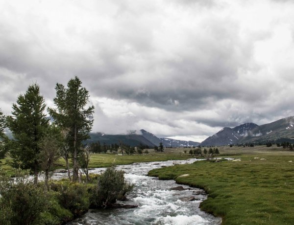 Cuando el aire se llena de agua: así se activa la lluvia en Chile