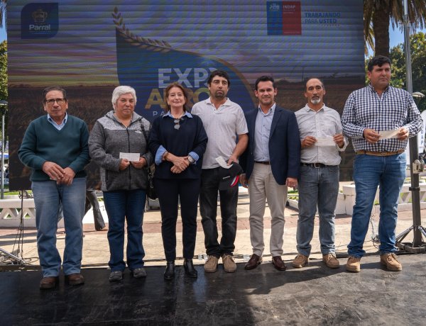 Arroceros del Maule reciben $600 millones de INDAP para hacer frente a temporada marcada por bajos precios