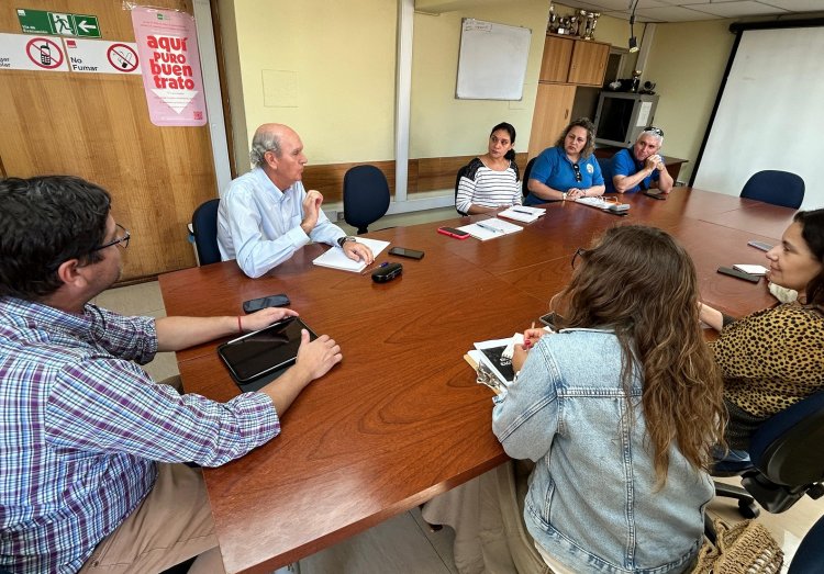 Mesa avícola del Maule llama a reforzar medidas preventivas por Influenza Aviar
