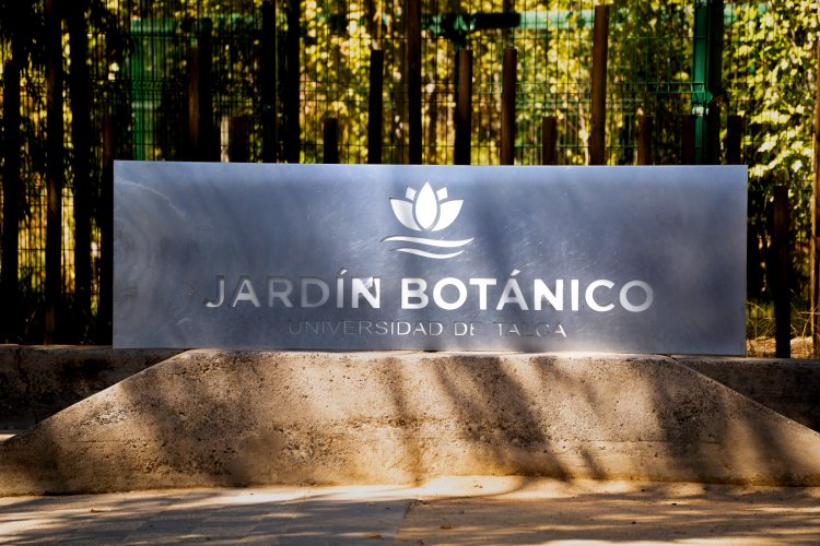 Identifican presencia del virus de Influenza Aviar H5N1 en algunas especies de aves del Jardín Botánico de la UTalca