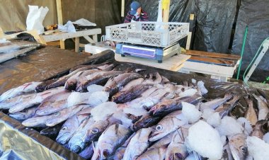 Odepa informa precios referenciales para preparar menús de Semana Santa y orienta decisiones de compra de las familias