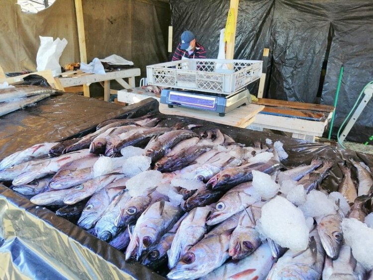 Odepa informa precios referenciales para preparar menús de Semana Santa y orienta decisiones de compra de las familias
