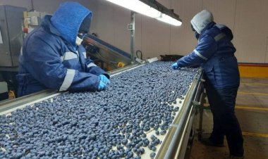 Desempleo en Chile traspasa la barrera del 9 por ciento y llega a su mayor nivel desde junio de 2021