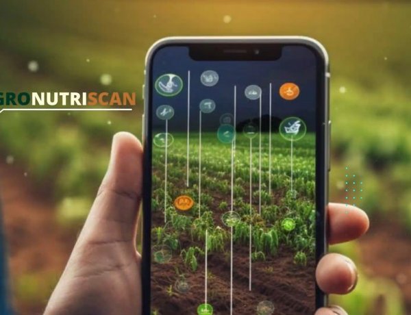 INIA desarrolla innovador “Reporte Digital” para optimizar la calidad y exportación de arándanos chilenos