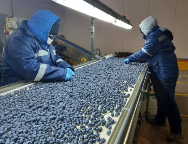 Desempleo en Chile traspasa la barrera del 9 por ciento y llega a su mayor nivel desde junio de 2021