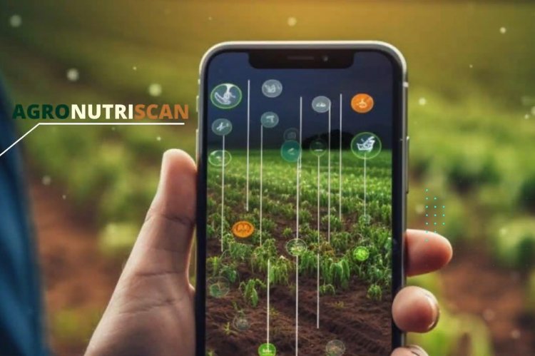 INIA desarrolla innovador “Reporte Digital” para optimizar la calidad y exportación de arándanos chilenos