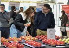 Industria de la manzana analiza estrategias ante llegada de fenómeno El Niño