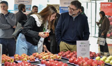 Industria de la manzana analiza estrategias ante llegada de fenómeno El Niño