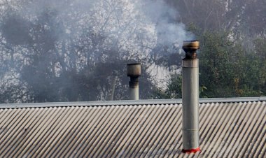 Contaminación y salud: Expertas advierten efectos del cambio climático
