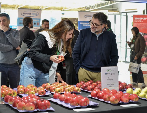 Industria de la manzana analiza estrategias ante llegada de fenómeno El Niño