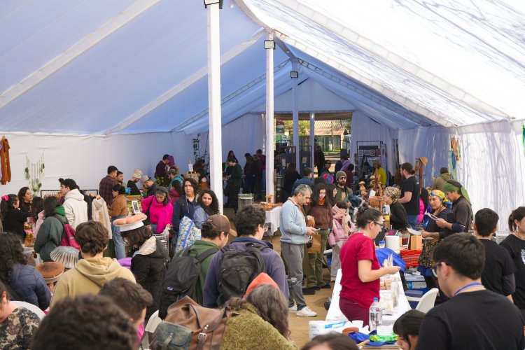 Festival Fungi congregó a más de mil 500 personas en la UTalca