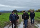 SEREMI de Agricultura Maule detalla afectaciones por sistemas frontales concentradas en pequeños agricultores
