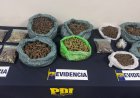 Allanamientos en Linares, Yerbas Buenas y Longaví terminan con el decomiso de más de 5.7 kilos de drogas