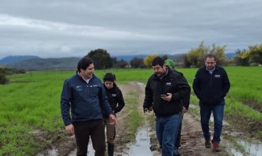 SEREMI de Agricultura Maule detalla afectaciones por sistemas frontales concentradas en pequeños agricultores