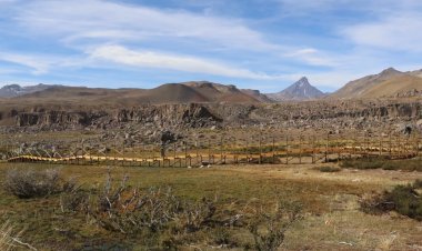 Desarrollan proyectos para la conservación de anfibios en el Alto Maule