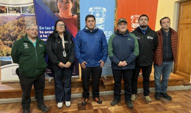 MUNICIPALIDAD DE LINARES ABRE POSTULACIÓN A PROGRAMA  PROEMPLEO CON MÁS DE 80 CUPOS