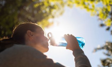 Anticipan primavera cálida y húmeda seguida de un verano con temperaturas extremas