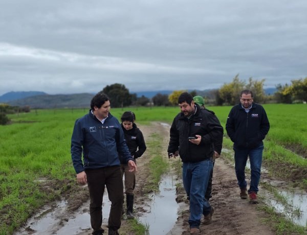 SEREMI de Agricultura Maule detalla afectaciones por sistemas frontales concentradas en pequeños agricultores
