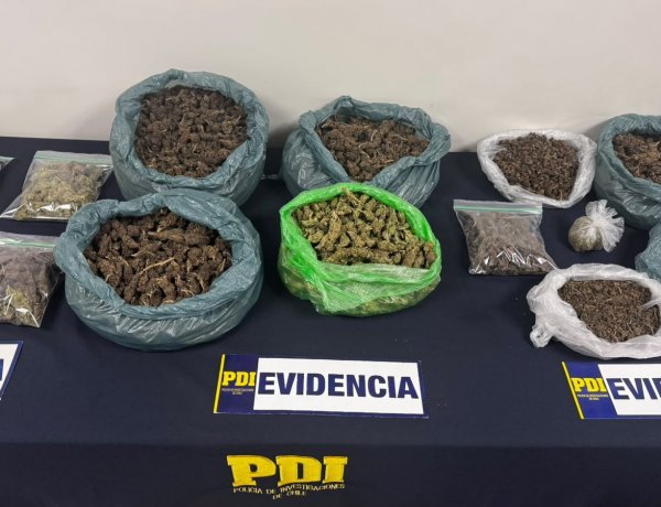 Allanamientos en Linares, Yerbas Buenas y Longaví terminan con el decomiso de más de 5.7 kilos de drogas