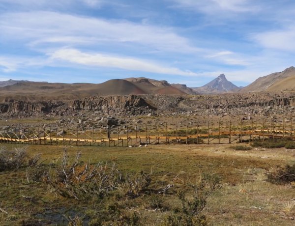 Desarrollan proyectos para la conservación de anfibios en el Alto Maule
