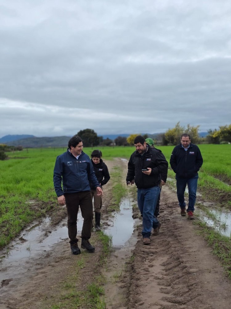 SEREMI de Agricultura Maule detalla afectaciones por sistemas frontales concentradas en pequeños agricultores