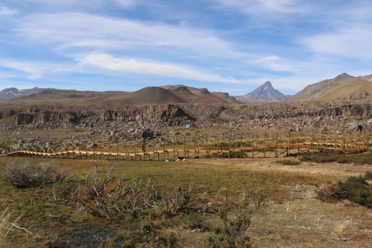 Desarrollan proyectos para la conservación de anfibios en el Alto Maule