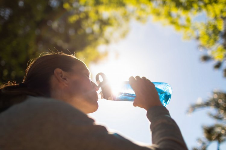 Anticipan primavera cálida y húmeda seguida de un verano con temperaturas extremas