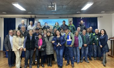 Apicultores del Maule fortalecen sus conocimientos sobre normativa y comercialización de mieles