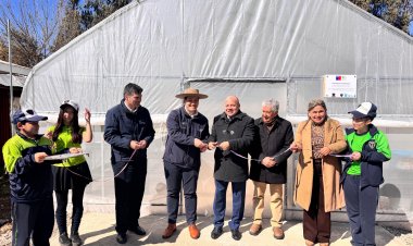 Fondo de Protección Ambiental permitió instalación de invernadero hidropónico en Escuela rural en Linares