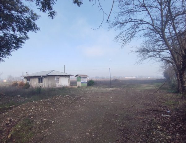 Linares: revive la polémica por el proyecto de Cementerio San Ambrosio