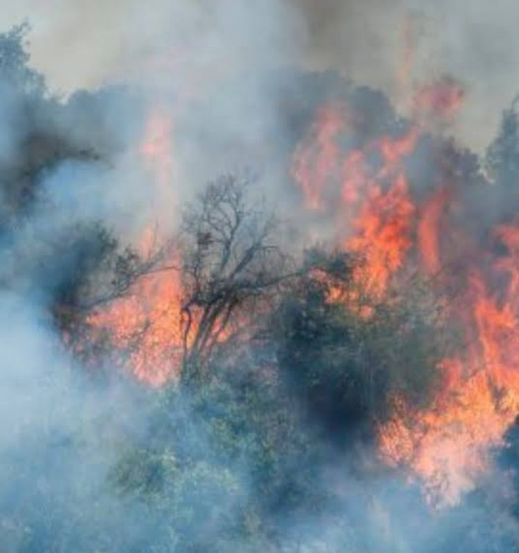 Linares se prepara para la próxima temporada de incendios forestales con foco en la prevención