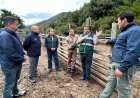 Autoridades regionales dan inicio a temporada de campos de pastoreo cordillerano 2026-2027