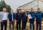 Gobierno decreta emergencia agrícola en 14 comunas de la Región del Maule