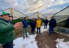 INDAP dispone ayudas tempranas para agricultores del Maule afectados por las recientes lluvias y granizadas