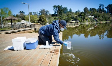SEREMI de Salud del Maule refuerza monitoreo, capacitación y fiscalización en el lago Vichuquén