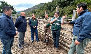 Autoridades regionales dan inicio a temporada de campos de pastoreo cordillerano 2026-2027