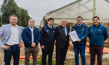 Gobierno decreta emergencia agrícola en 14 comunas de la Región del Maule